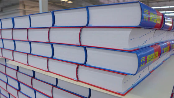 3ph فولتاج نظام رصيف حاويات عميق مزدوج للتخزين الثقيل الغطاء الصلب كتاب متداخل كومة مكعب